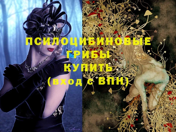метадон Богородск